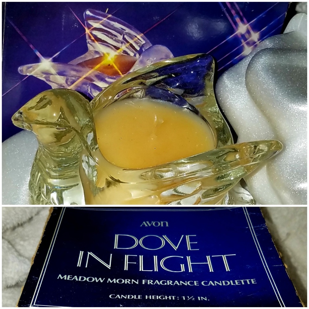Vintage 1978 Avon Dove in flight